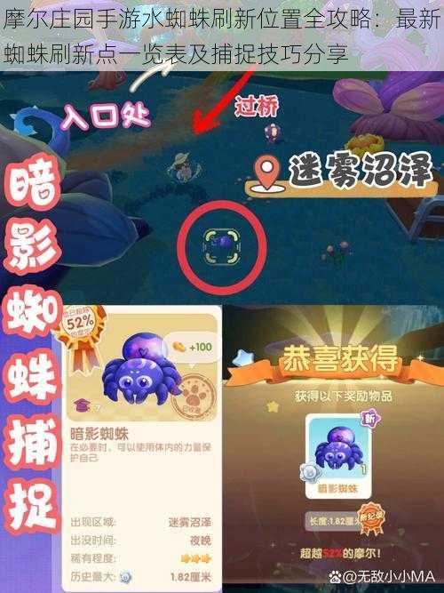 摩尔庄园手游水蜘蛛刷新位置全攻略:最新蜘蛛刷新点一览表及捕捉技巧分享