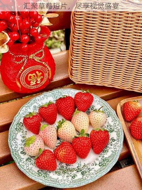 汇聚草莓短片,尽享视觉盛宴