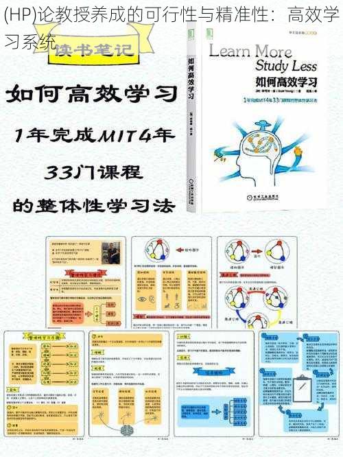 (HP)论教授养成的可行性与精准性:高效学习系统