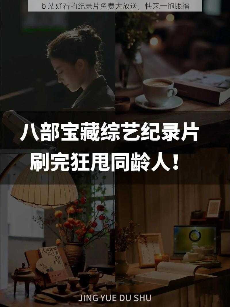 b 站好看的纪录片免费大放送,快来一饱眼福