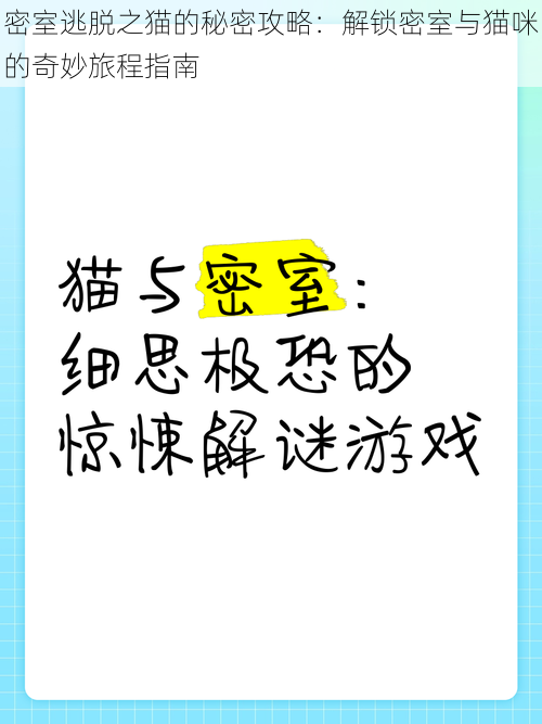 密室逃脱之猫的秘密攻略:解锁密室与猫咪的奇妙旅程指南