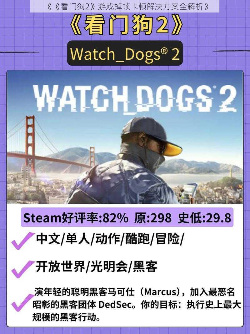 《《看门狗2》游戏掉帧卡顿解决方案全解析》